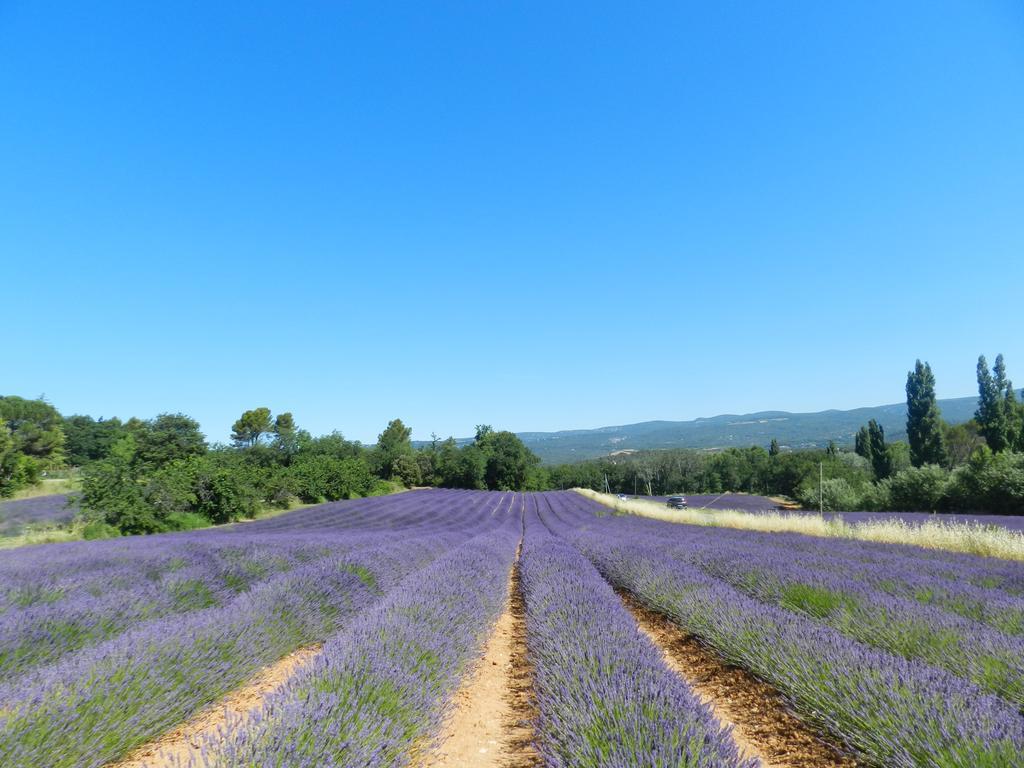 Une Sieste En Luberon Bonnieux Exterior photo